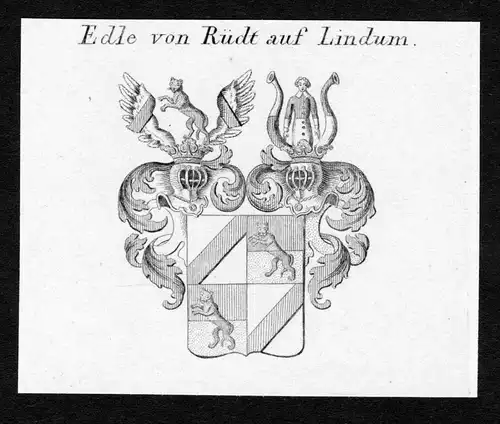 Edle von Rüdt auf Lindum - Rüdt Ruedt auf Lindum Wappen Adel coat of arms Kupferstich  heraldry Heraldik
