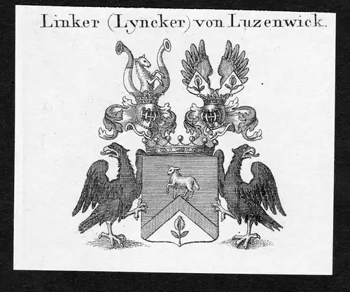 Linker (Lyncker) von Luzenwick - Linker von Lützenwick Luetzenwick Wappen Adel coat of arms Kupferstich  hera
