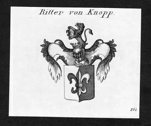 Ritter von Knopp - Knopp Wappen Adel coat of arms Kupferstich  heraldry Heraldik