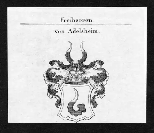 Von Adelsheim - Adelsheim Alletzheim Adoltzheim Adolzheim Wappen Adel coat of arms Kupferstich  heraldry Heral