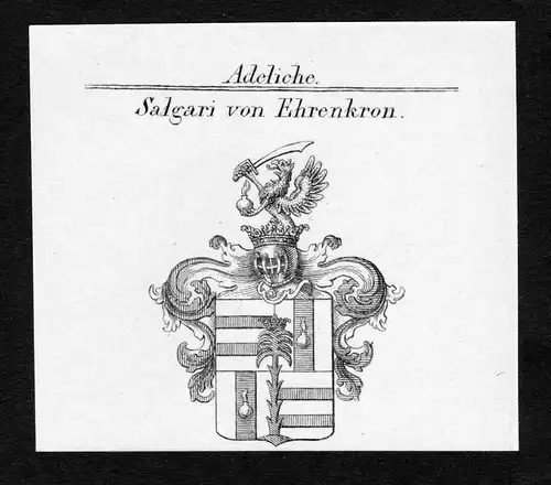 Salgari von Ehrenkron - Salgari von Ehrenkron Wappen Adel coat of arms Kupferstich  heraldry Heraldik