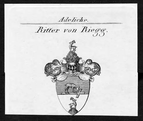 Ritter von Riegg - Riegg Wappen Adel coat of arms Kupferstich  heraldry Heraldik