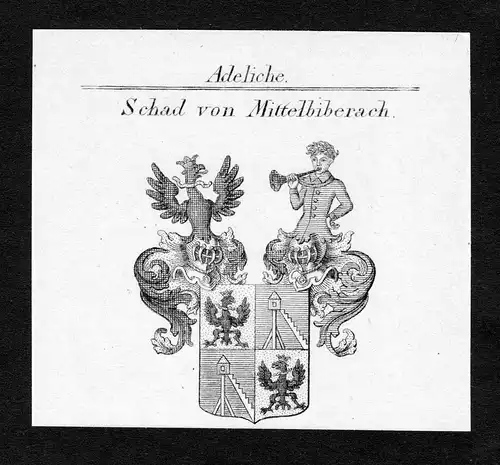 Schad von Mittelbiberach - Schad von Mittelbiberach Wappen Adel coat of arms Kupferstich  heraldry Heraldik
