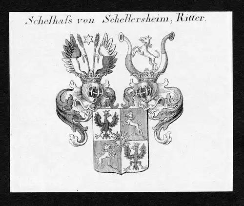 Schelhass von Schellersheim, Ritter - Schelhass von Schellersheim Wappen Adel coat of arms Kupferstich  herald