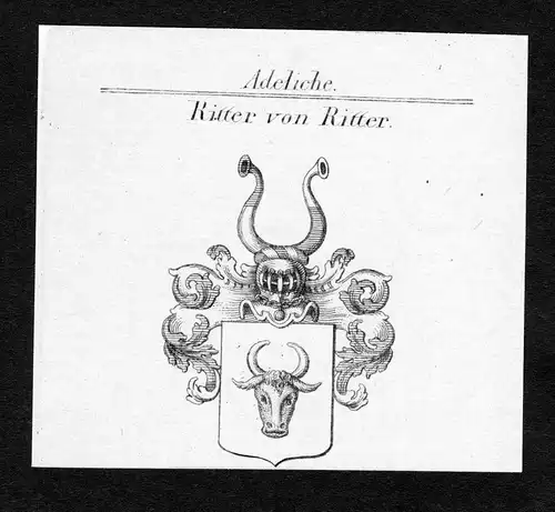 Ritter von Ritter - Ritter Wappen Adel coat of arms Kupferstich  heraldry Heraldik