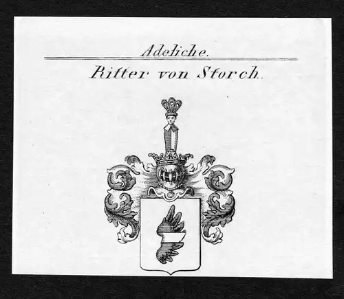 Ritter von Storch - Storch Wappen Adel coat of arms Kupferstich  heraldry Heraldik