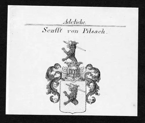 Senfft von Pilsach - Senfft von Pilsach Wappen Adel coat of arms Kupferstich  heraldry Heraldik