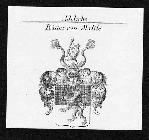 Rütter von Maliss - Rütter Ruetter von Maliss Wappen Adel coat of arms Kupferstich  heraldry Heraldik
