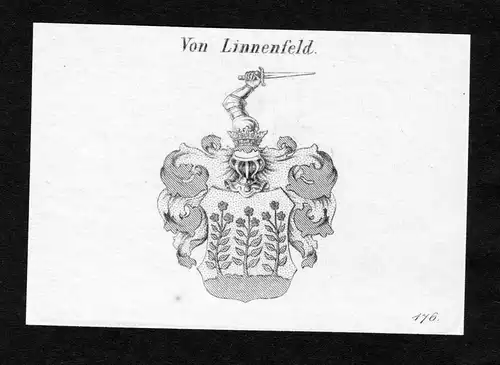 Von Linnenfeld - Linnenfeld Wappen Adel coat of arms Kupferstich  heraldry Heraldik