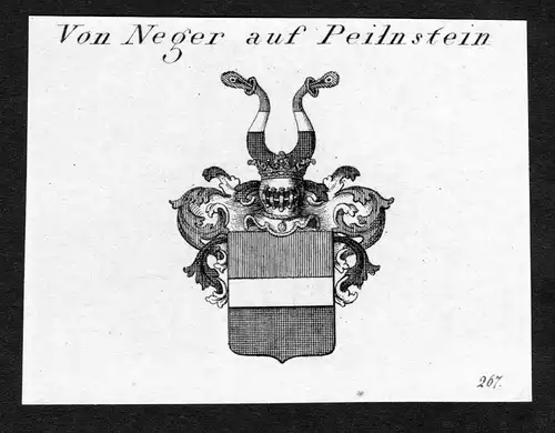 Von Neger auf Peilnstein - Neger von Peilnstein Wappen Adel coat of arms Kupferstich  heraldry Heraldik