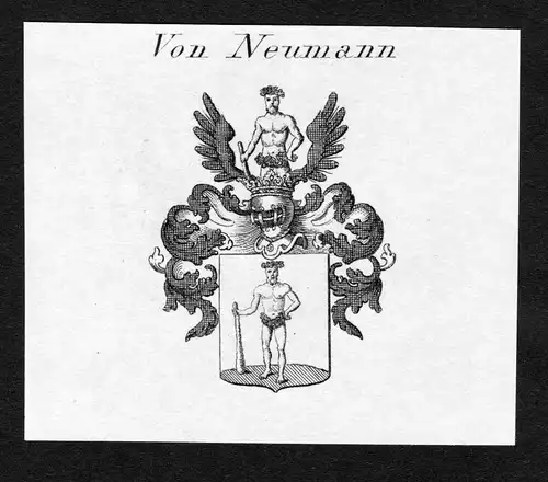 Von Neumann - Neumann Wappen Adel coat of arms Kupferstich  heraldry Heraldik