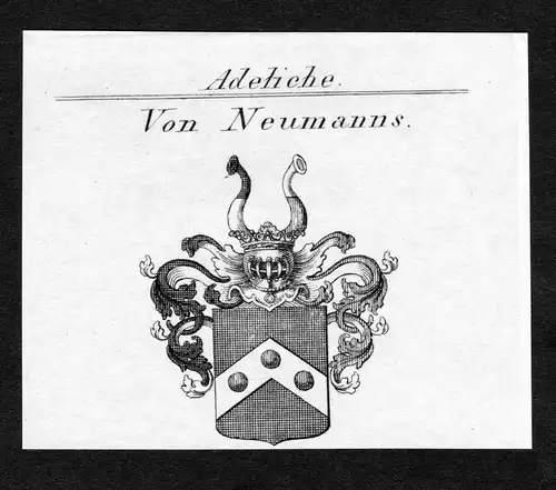 Von Neumanns - Neumanns Neumans Wappen Adel coat of arms Kupferstich  heraldry Heraldik