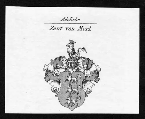Zant von Merl - Zant von Merl Wappen Adel coat of arms Kupferstich  heraldry Heraldik