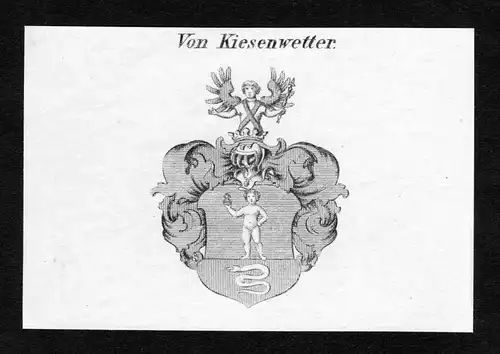 Von Kiesenwetter - Kiesenwetter Wappen Adel coat of arms Kupferstich  heraldry Heraldik