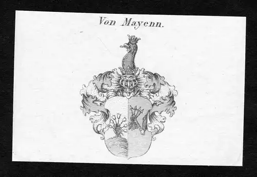 Von Mayenn - Mayenn Mayen Wappen Adel coat of arms Kupferstich  heraldry Heraldik