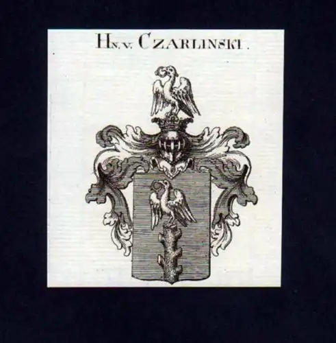Herren v. Czarlinski Heraldik Kupferstich Wappen