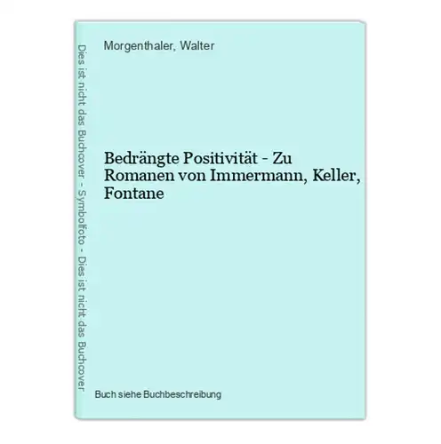 Bedrängte Positivität - Zu Romanen von Immermann, Keller, Fontane