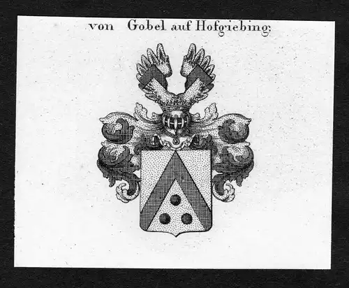 Von Gobel auf Hofgiebing - Gobel auf Hofgiebing Wappen Adel coat of arms Kupferstich  heraldry Heraldik