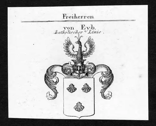 Von Eyb, katholischer Linie - Eyb Wappen Adel coat of arms Kupferstich  heraldry Heraldik