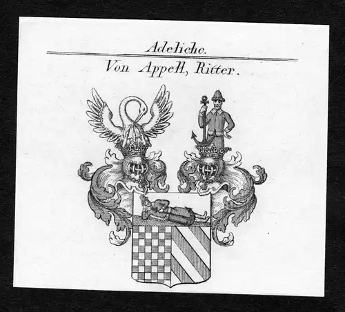 Von Appell, Ritter - Appell Wappen Adel coat of arms Kupferstich  heraldry Heraldik