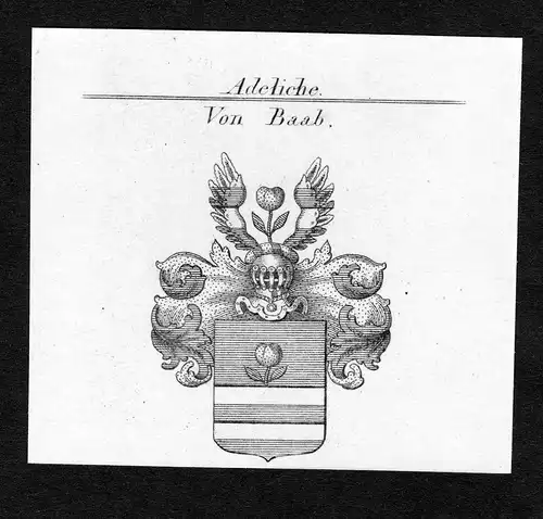 Von Baab - Baab Wappen Adel coat of arms Kupferstich  heraldry Heraldik