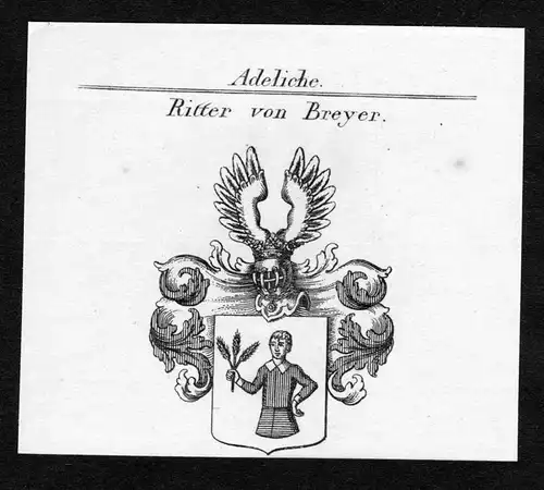 Ritter von Breyer - Breyer Wappen Adel coat of arms Kupferstich  heraldry Heraldik