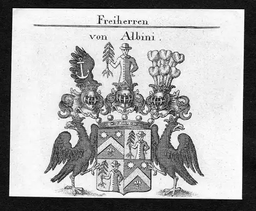 Von Albini - Albini Wappen Adel coat of arms Kupferstich  heraldry Heraldik