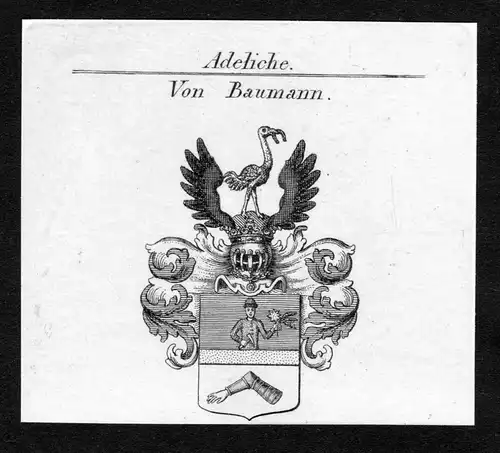 Von Baumann - Baumann Wappen Adel coat of arms Kupferstich  heraldry Heraldik