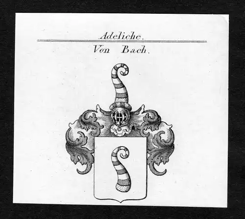 Von Bach - Bach Wappen Adel coat of arms Kupferstich  heraldry Heraldik