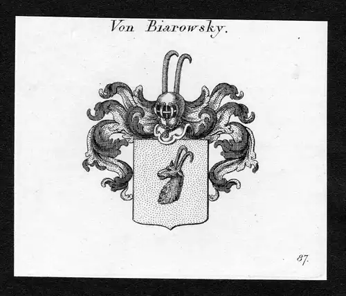 Von Biarowsky - Biarowsky Wappen Adel coat of arms Kupferstich  heraldry Heraldik