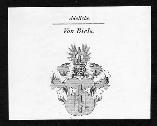 Von Biela - Bila Biela Byla Wappen Adel coat of arms Kupferstich  heraldry Heraldik