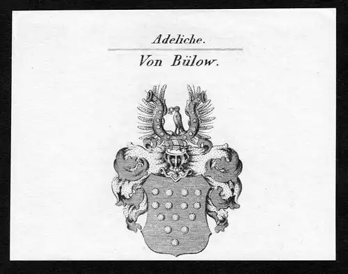 Von Bülow - Bülow Buelow Wappen Adel coat of arms Kupferstich  heraldry Heraldik