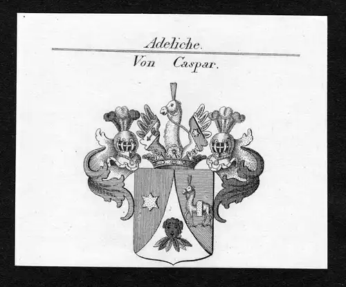Von Caspar - Caspar Wappen Adel coat of arms Kupferstich antique print heraldry Heraldik