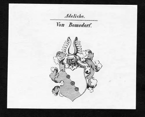 Von Bomsdorf - Bomsdorff Wappen Adel coat of arms Kupferstich  heraldry Heraldik