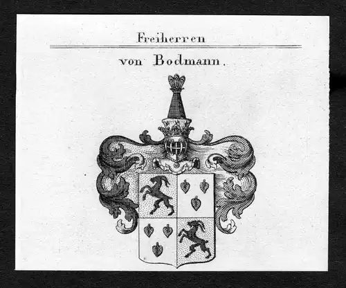 Von Bodmann - Bodman Bodmann Wappen Adel coat of arms Kupferstich  heraldry Heraldik