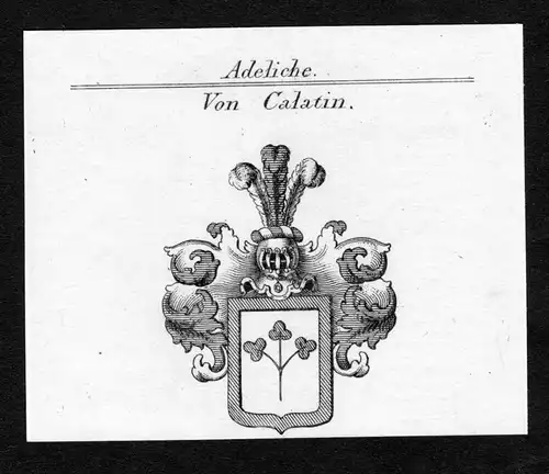 Von Calatin - Calatin Wappen Adel coat of arms Kupferstich  heraldry Heraldik