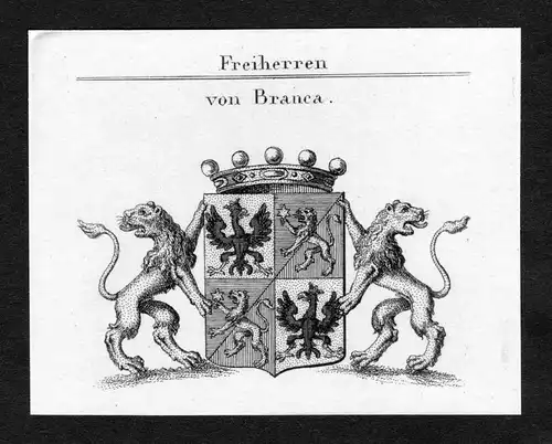 Von Branca - Branca Wappen Adel coat of arms Kupferstich  heraldry Heraldik