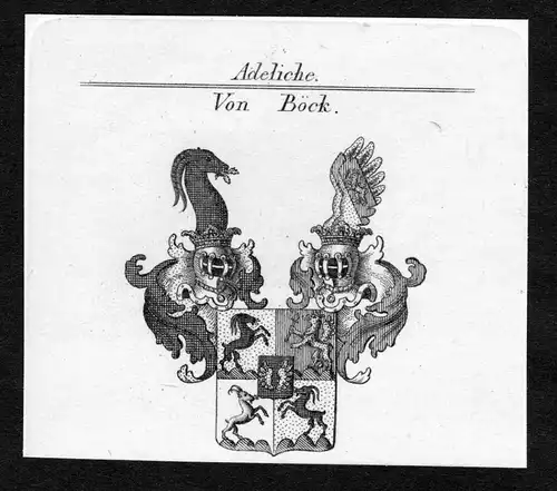 Von Böck - Böck Boeck Wappen Adel coat of arms Kupferstich  heraldry Heraldik