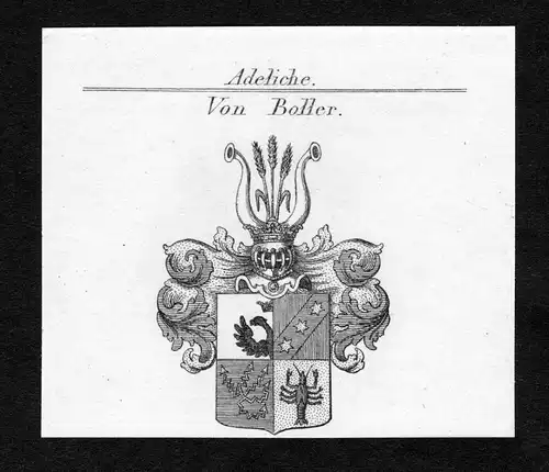 Von Boller - Boller Wappen Adel coat of arms Kupferstich  heraldry Heraldik