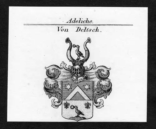 Von Deltsch - Deltsch Wappen Adel coat of arms Kupferstich  heraldry Heraldik