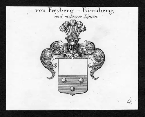 Von Freyberg-Eisenberg, und mehrerer Linien - Freyberg-Eisenberg Wappen Adel coat of arms Kupferstich  heraldr