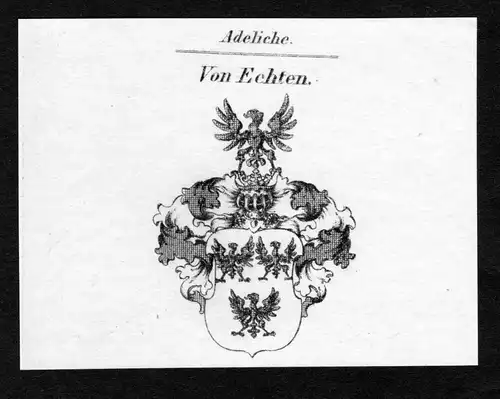 Von Echten - Echten Wappen Adel coat of arms Kupferstich  heraldry Heraldik