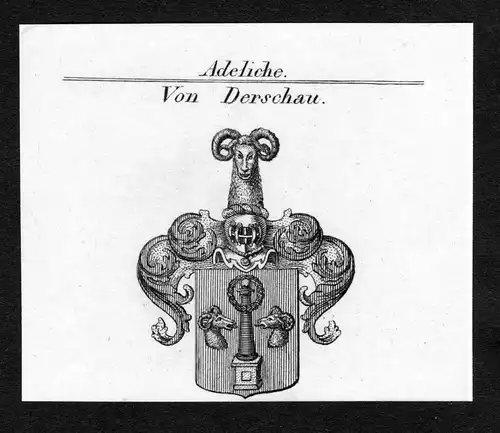 Von Derschau - Derschau Wappen Adel coat of arms Kupferstich  heraldry Heraldik