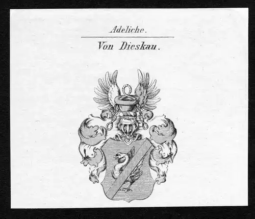 Von Dieskau - Dieskau Wappen Adel coat of arms Kupferstich  heraldry Heraldik