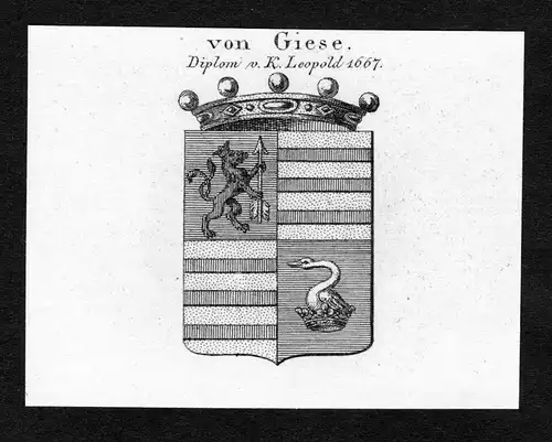 Von Giese - Giese Wappen Adel coat of arms Kupferstich  heraldry Heraldik