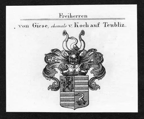 Von Giese, ehemals v. Koch auf Teubliz - Giese Koch auf Teubliz Teublitz Wappen Adel coat of arms Kupferstich
