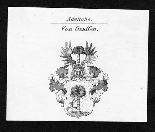 Von Graffen - Graffen Wappen Adel coat of arms Kupferstich  heraldry Heraldik