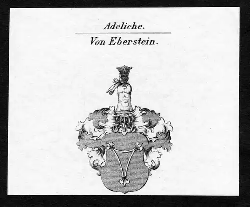 Von Eberstein - Eberstein Wappen Adel coat of arms Kupferstich  heraldry Heraldik