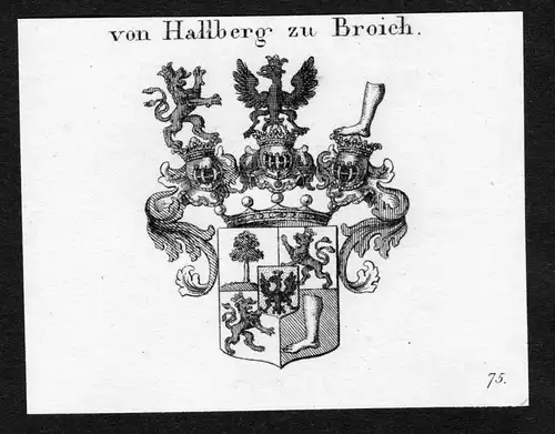Von Hallberg zu Broich - Hallberg-Broich Wappen Adel coat of arms Kupferstich  heraldry Heraldik