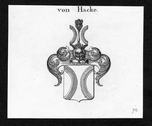 Von Hacke - Hacke Haacke Wappen Adel coat of arms Kupferstich  heraldry Heraldik